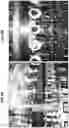 Fig. 07 - METHODS AND SYSTEMS FOR ONLINE CLEANING OF BEVERAGE FILLERS