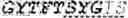 Fig. 02 - Antibody molecules