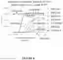 Fig. 09 - COMPOSITION AND METHODS FOR ANTI-TNFR2 ANTIBODIES