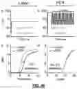 Fig. 49 - ANTIBIOTIC SUSCEPTIBILITY OF MICROORGANISMS AND RELATED METHODS AND SYSTEMS
