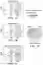 Fig. 10 - METHODS FOR MEASURING RIBOSOMAL METHYLATION AGE