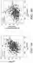 Fig. 11 - METHODS FOR MEASURING RIBOSOMAL METHYLATION AGE