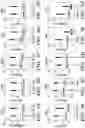 Fig. 12 - METHODS FOR MEASURING RIBOSOMAL METHYLATION AGE