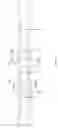 Fig. 09 - Transmission system