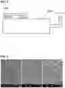 Fig. 03 - VENTILATION MEMBER FOR VEHICLE LAMP AND MANUFACTURING METHOD THEREOF