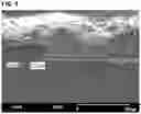 Fig. 04 - VENTILATION MEMBER FOR VEHICLE LAMP AND MANUFACTURING METHOD THEREOF