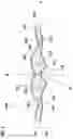 Fig. 02 - Batwing diffusing lens luminaire