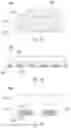 Fig. 28 - PACKAGE STRUCTURE