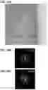 Fig. 35 - POSITIVE ELECTRODE ACTIVE MATERIAL PARTICLE AND MANUFACTURING METHOD OF POSITIVE ELECTRODE ACTIVE MATERIAL PARTICLE