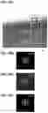 Fig. 47 - POSITIVE ELECTRODE ACTIVE MATERIAL PARTICLE AND MANUFACTURING METHOD OF POSITIVE ELECTRODE ACTIVE MATERIAL PARTICLE