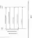 Fig. 02 - Ping latency optimization