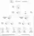 Fig. 01 - Establishment of fast forwarding table