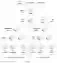 Fig. 02 - Establishment of fast forwarding table