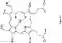 Fig. 09 - Purified protein