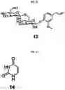 Fig. 07 - ANTIOXIDANT COMPOSITION COMPRISING NOVEL GINSENOSIDE