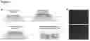 Fig. 03 - Macroscopically alignable, injectable, soft hydrogel composition