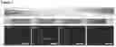 Fig. 04 - Macroscopically alignable, injectable, soft hydrogel composition