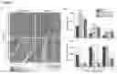 Fig. 07 - Macroscopically alignable, injectable, soft hydrogel composition
