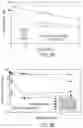 Fig. 04 - Processability of polymeric substrates and related methods
