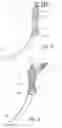 Fig. 05 - Device for gripping and securing an intubation bougie