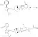 Fig. 28 - Compounds useful in modulating the farnesoid X receptor and methods of making and using the same