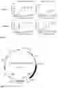 Fig. 04 - REVERSED UNIVERSAL CHIMERIC ANTIGEN RECEPTOR EXPRESSING IMMUNE CELLS FOR TARGETING OF DIVERSE MULTIPLE ANTIGENS AND METHOD OF MANUFACTURING THE SAME AND USE OF THE SAME FOR TREATMENT OF CANCER, INFECTIONS AND AUTOIMMUNE DISORDERS