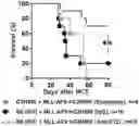 Fig. 01 - METHODS FOR TARGETING, INHIBITING, AND TREATING A TUMORAL MICROENVIRONMENT