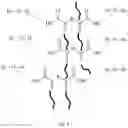 Fig. 09 - Hydrolysis-tolerant crosslinked polymers from reverse-acrylate multifunctional monomers