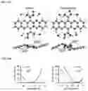 Fig. 09 - Diversity-oriented polymers of intrinsic microporosity and uses thereof