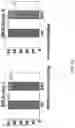 Fig. 05 - METHODS FOR EXON SKIPPING AND GENE KNOCKOUT USING BASE EDITORS