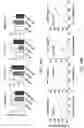 Fig. 23 - METHODS FOR EXON SKIPPING AND GENE KNOCKOUT USING BASE EDITORS