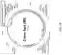 Fig. 33 - METHODS FOR EXON SKIPPING AND GENE KNOCKOUT USING BASE EDITORS