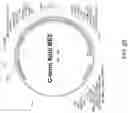 Fig. 34 - METHODS FOR EXON SKIPPING AND GENE KNOCKOUT USING BASE EDITORS