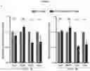 Fig. 13 - RNA-BASED THERAPEUTIC METHODS TO PROTECT ANIMALS AGAINST PATHOGENIC BACTERIA AND / OR PROMOTE BENEFICIAL EFFECTS OF SYMBIOTIC AND COMMENSAL BACTERIA