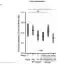 Fig. 22 - RNA-BASED THERAPEUTIC METHODS TO PROTECT ANIMALS AGAINST PATHOGENIC BACTERIA AND / OR PROMOTE BENEFICIAL EFFECTS OF SYMBIOTIC AND COMMENSAL BACTERIA