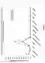 Fig. 04 - ALTERATION OF SECONDARY WALL FOR IMPROVED GRAIN YIELD, ETHANOL, AND SILAGE QUALITY