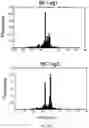 Fig. 35 - MASSIVELY PARALLEL COMBINATORIAL GENETICS FOR CRISPR