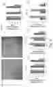 Fig. 09 - Method for preparing fish skin mucous gland bioreactor and application thereof
