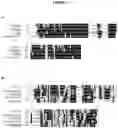 Fig. 08 - METHODS AND COMPOSITIONS FOR RNA-DIRECTED TARGET DNA MODIFICATION AND FOR RNA-DIRECTED MODULATION OF TRANSCRIPTION