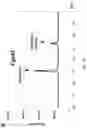 Fig. 06 - Method for producing drimanyl acetate compounds