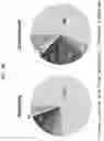 Fig. 06 - METHOD OF DETECTING BACTERIUM OF GENUS HELICOBACTER USING ABSORBENT SWAB AND APPLICATION THEREOF