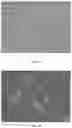 Fig. 02 - Devices and assays for estimating microbial load and differentiating microbial populations