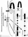 Fig. 07 - Membrane protein activity measurement method