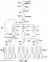 Fig. 06 - MODULAR PARALLEL/SERIAL DUAL MICROFLUIDIC CHIP