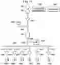 Fig. 22 - MODULAR PARALLEL/SERIAL DUAL MICROFLUIDIC CHIP
