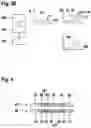 Fig. 04 - Reaction Mixture, Method and Kit for Performing a Quantitative Real-Time PCR