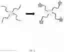 Fig. 04 - REAGENTS AND METHODS FOR BLOCKING NON-SPECIFIC INTERACTIONS WITH NUCLEIC ACIDS