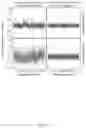 Fig. 07 - IDENTIFICATION OF GLOBAL SEQUENCE FEATURES IN WHOLE GENOME SEQUENCE DATA FROM CIRCULATING NUCLEIC ACID