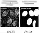 Fig. 02 - METHODS AND SYSTEMS FOR THERAPEUTIC AGENT ANALYSIS