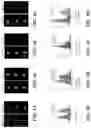 Fig. 06 - METHODS AND SYSTEMS FOR TARGET SCREENING